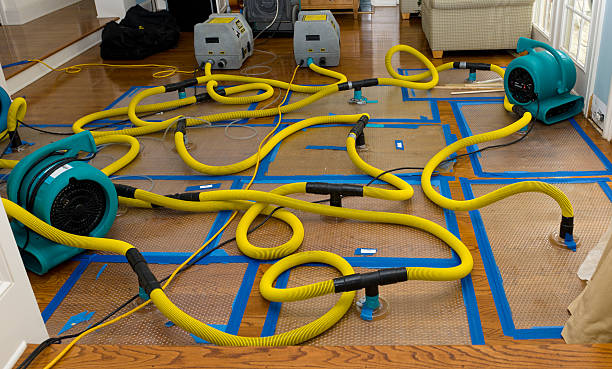 Professional Water Damage Restoration technician working in New Augusta, MS