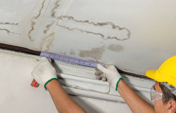 Affordable Water Damage Repair solutions in New Augusta, MS